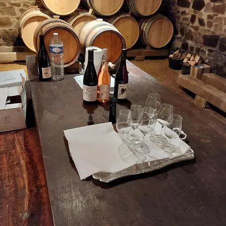 Domaine De Fond Chatonne Villie-Morgon